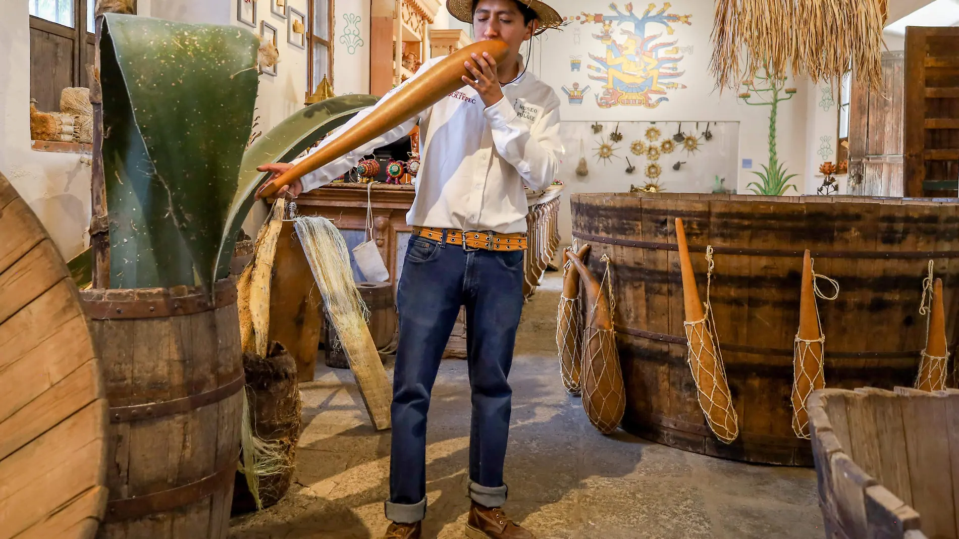 Tlaxcala Museo del pulque